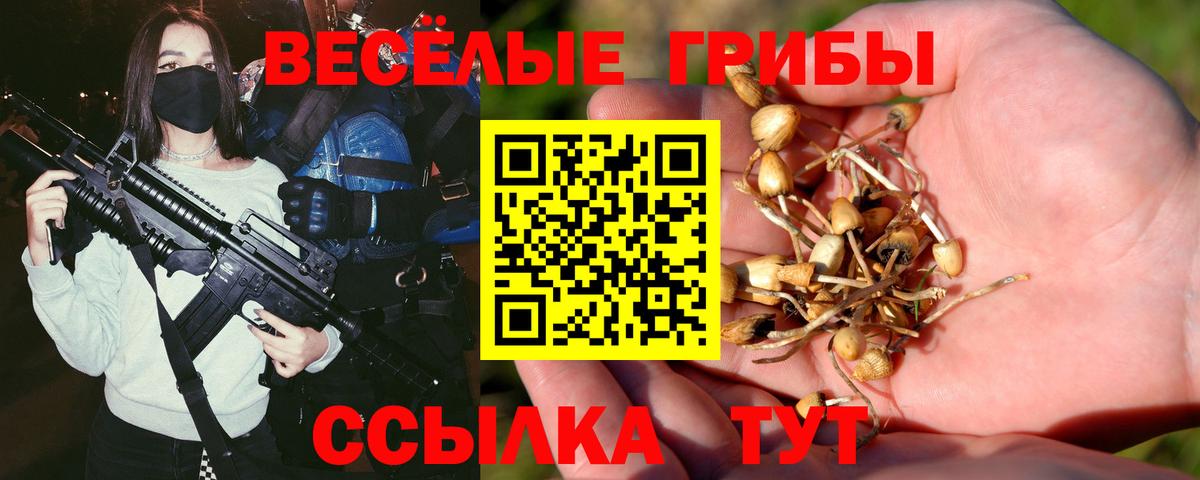 Галлюциногенные грибы GOLDEN TEACHER Горно-Алтайск