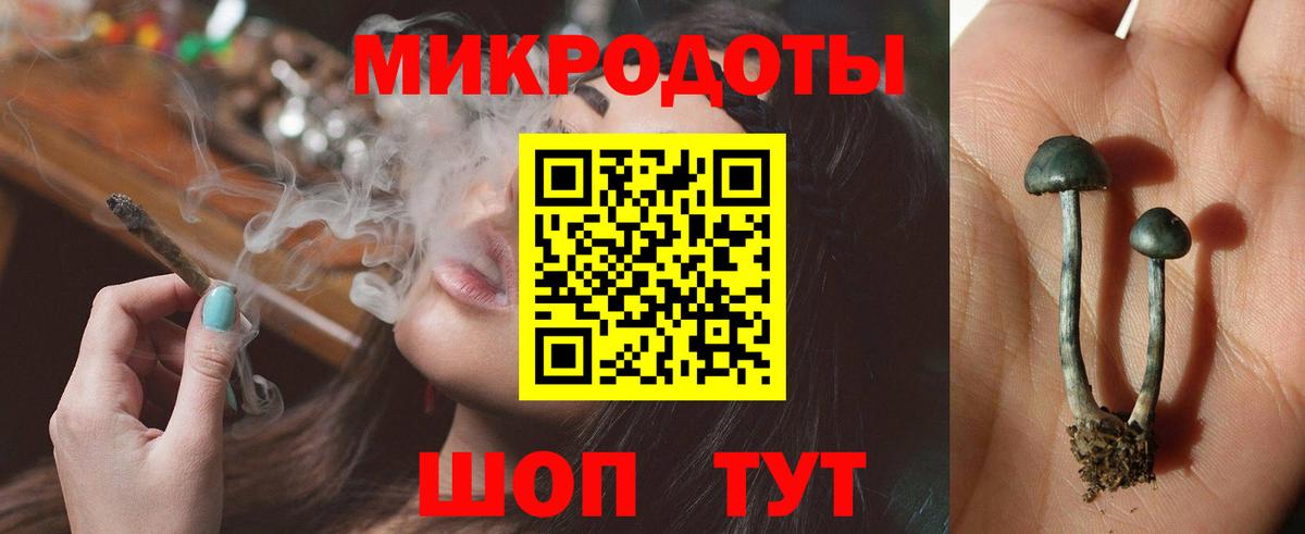 Галлюциногенные грибы мицелий  Вход с VPN  Горно-Алтайск 
